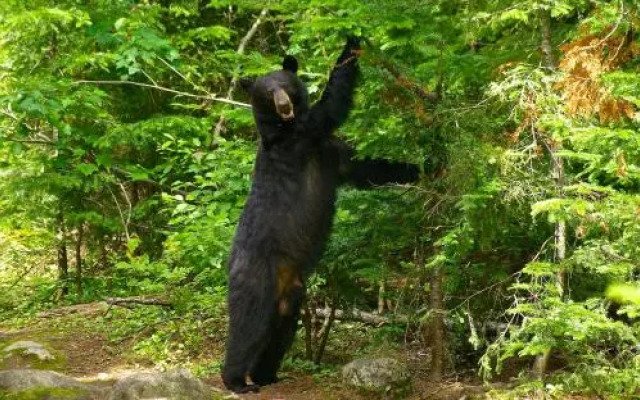 Le Refuge - Les Chalets Spa Canada