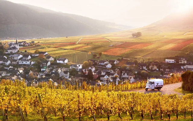 Holiday Winery Andrae-goebel