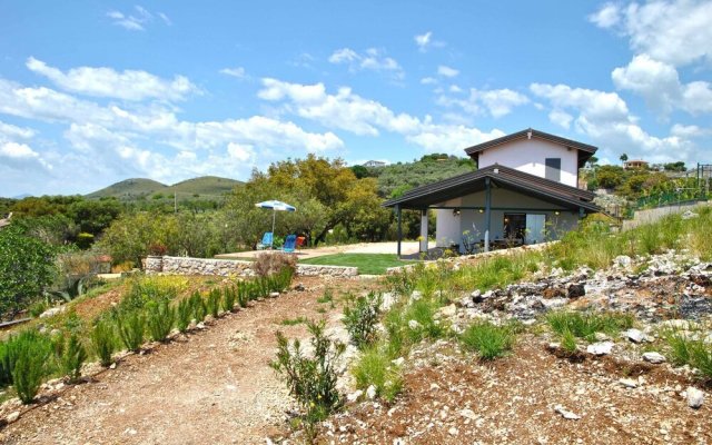 "red Roses Flat in a Semi-detached Villa"