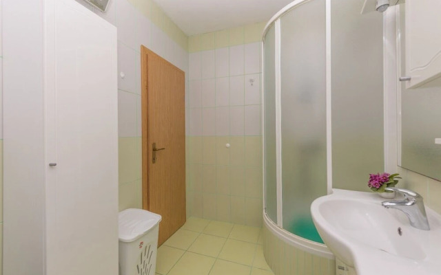 Goran - in the Center of the City - A3-zeleni