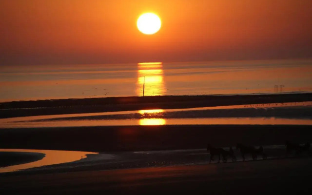 Sarl B&B Utah Beach