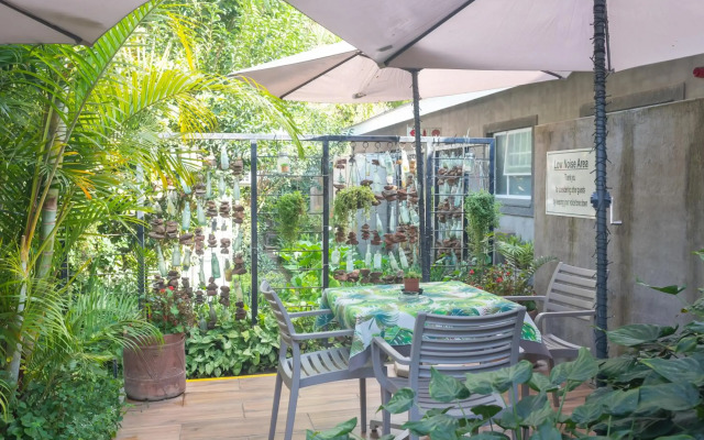 Polo Guest House