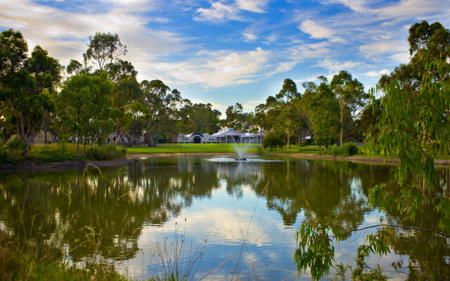 Serafino McLaren Vale