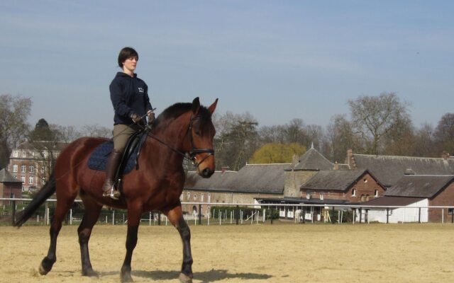 Modern Holiday Home in Gembloux with Meadows Nearby