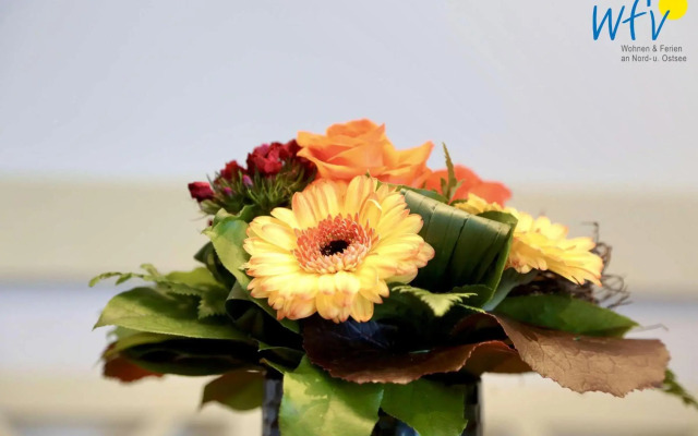 Villa Drees Wangerooge 81848