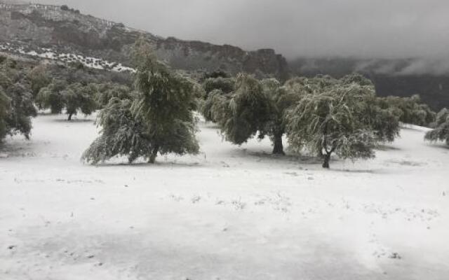 Cortijo la Argumosa