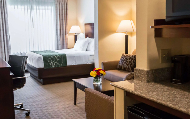 Comfort Suites University Area Notre Dame - South Bend