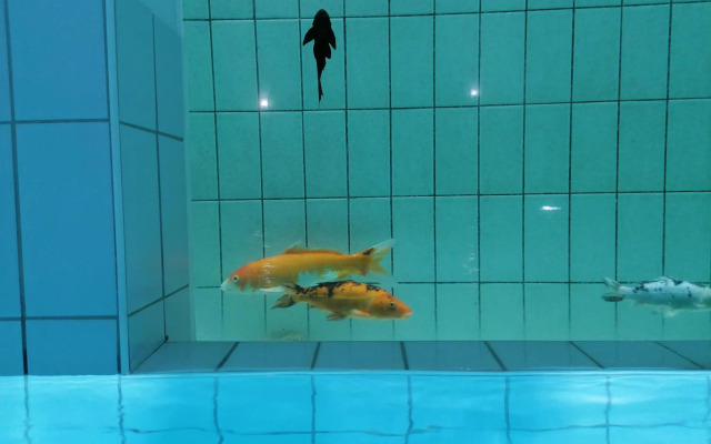 Adler Hotel-Pension 3 Sterne