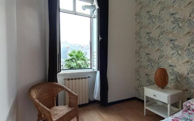 Colosseo Kokedama rooms