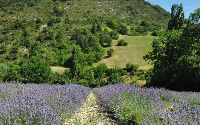 Luxury Villa with Jacuzzi in Carpentras Provence