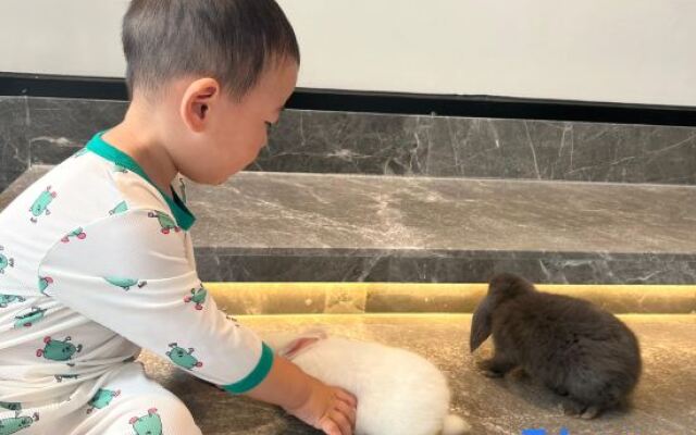 Zhuhai Beishanqi Homestay (Huafa Shangdu)