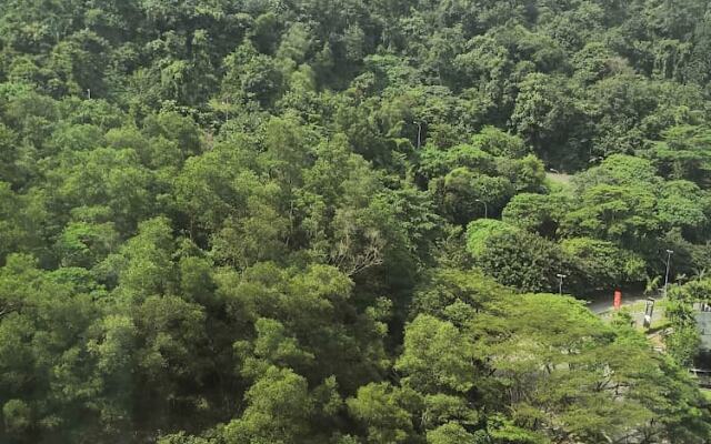 The 12 Suite Empire Damansara