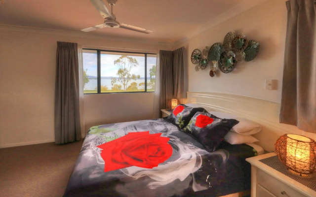 Dolphin Waters Tin Can Bay