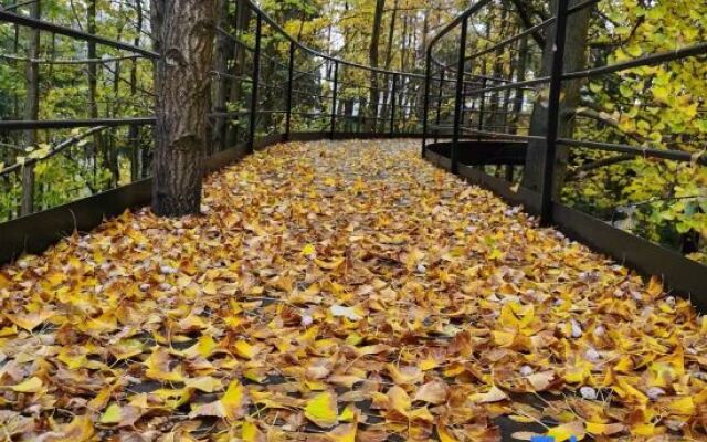 Qingcheng Mountain Suxi Qingshan Forest Homestay