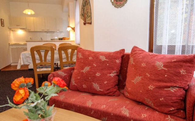 Apartment Lanovka Jachymov 25264