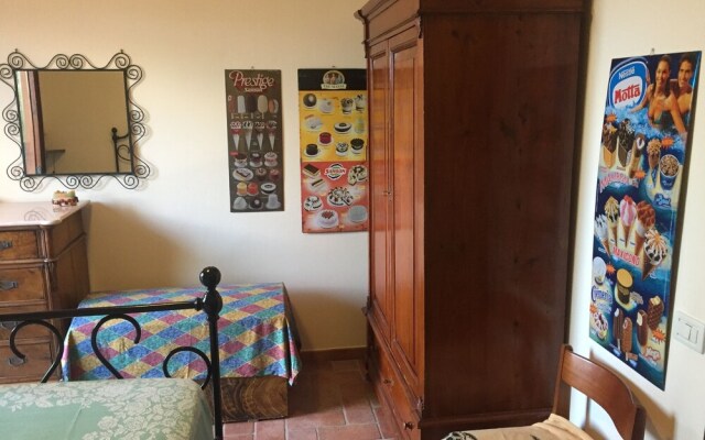 Uliveto del Tesoro