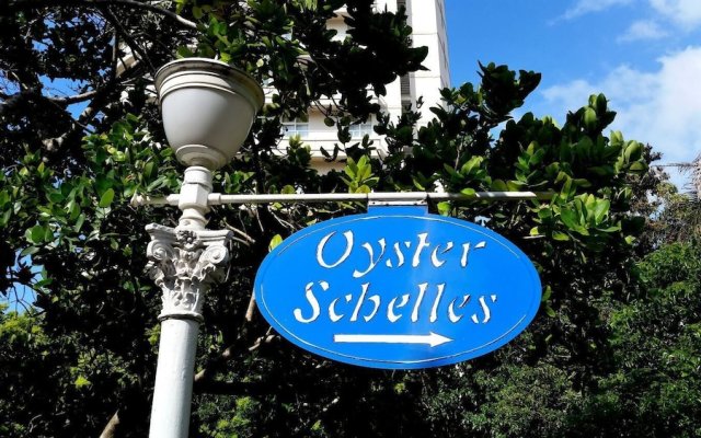 703 Oyster Schelles