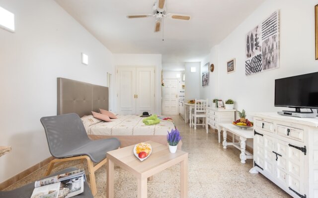530 Big Studio with Terrace