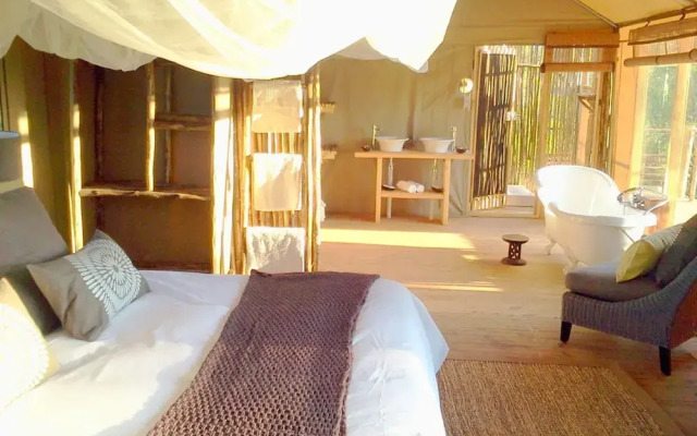 Miombo Safari Camp