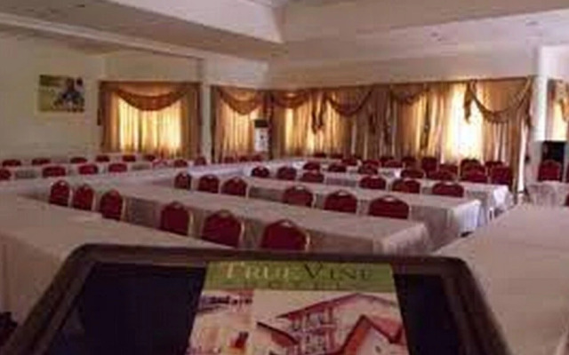 True Vine Hotel - Deluxe Double