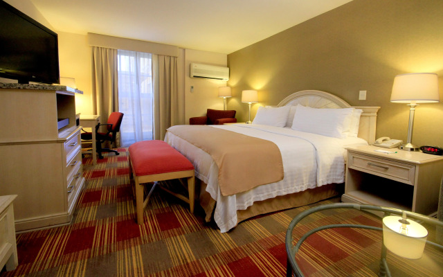 Holiday Inn Monclova by IHG