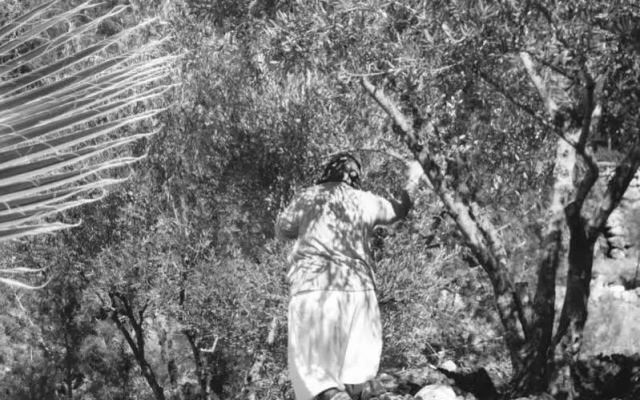 Sel D'ailleurs