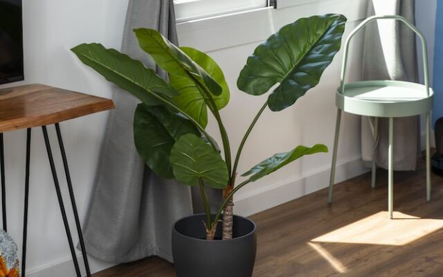 Caliu Apartments Barcelona - Camp Nou