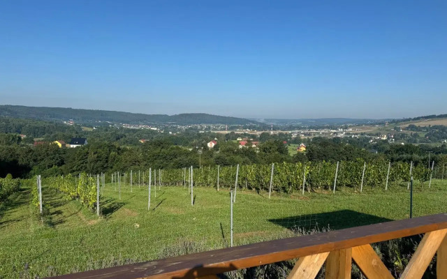 Winnica Maria Anna