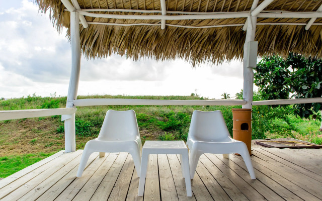Palm Green Vacations Whitesands