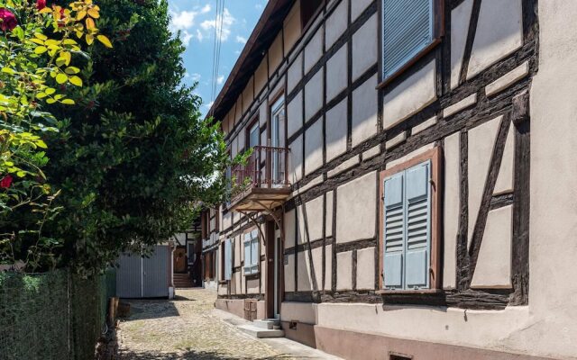 Charming 2 Room Apartment Schiltigheim