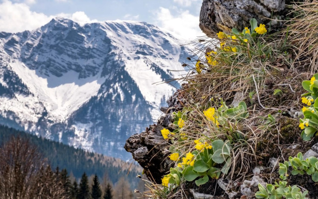 Das Haus am Berg: Nestelberg17