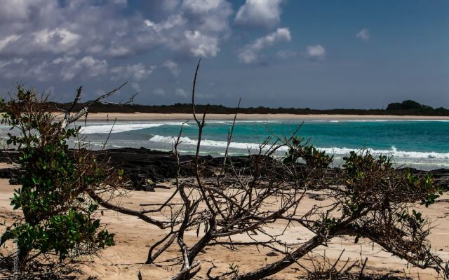 Iguana Crossing Boutique Hotel