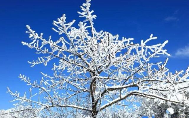 Guangwu Mountain Haoji Nongjiale