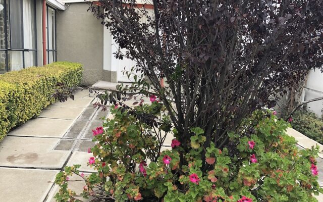 Casa Skyways B&B