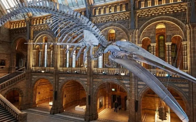 3bed, 2bath Kensington Flat W/garden 1min to Tube