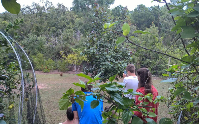 Magnetic Island Bed And Breakfast