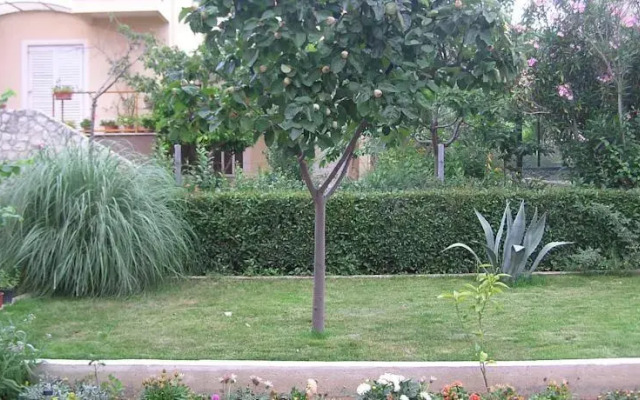 Apartments Dedaj