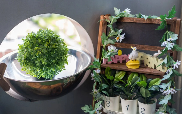 Yeah Room Zeus The Garden