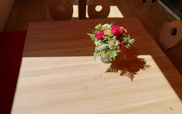 Appartement Moni / Golf u. Ski / Top 9