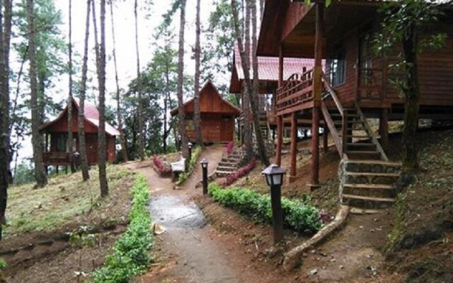 Pine Wood Villa