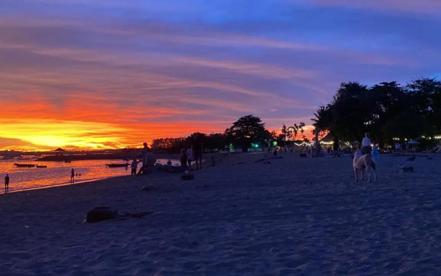 Shady Grove Healing Centre and Homestay