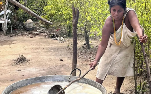 Tree of Life - Hostel