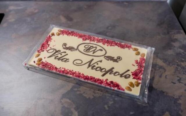 Vila Nicopole - art & wine