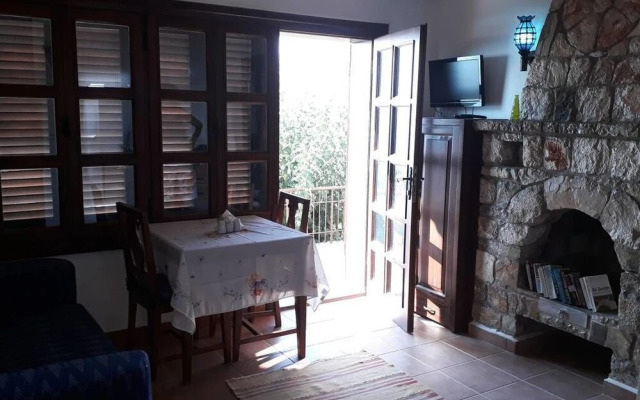Lazy Lizard Boutique-Hotel