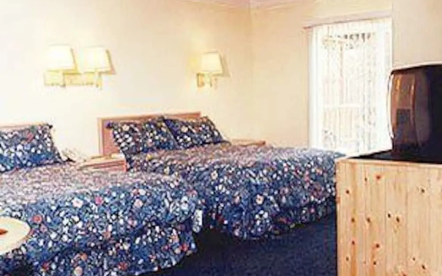 Pine Beach Inn