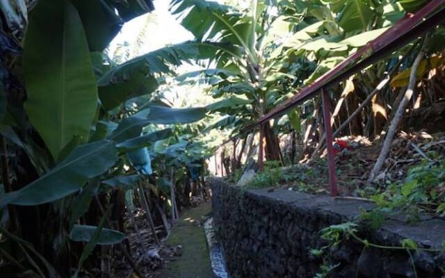 Tabua Suite - ETC Madeira