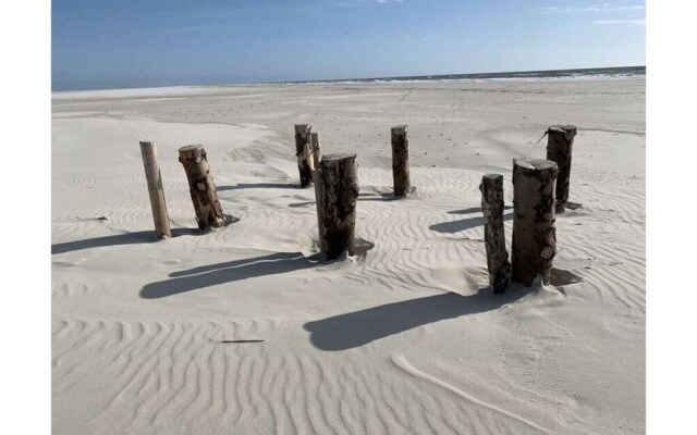 "sea Eagle" in the House on the Dune