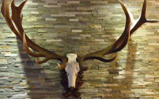 Hotel Sportalm Gipfelglück