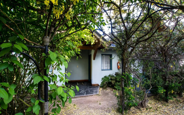 Rupu Pehuen Resort