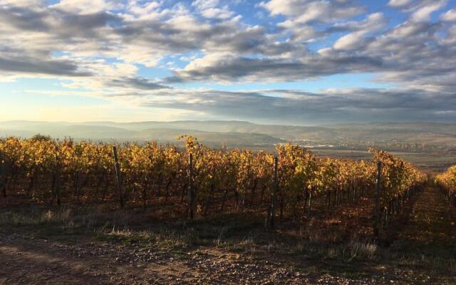 Ferienwohnungen In de goldisch Luft